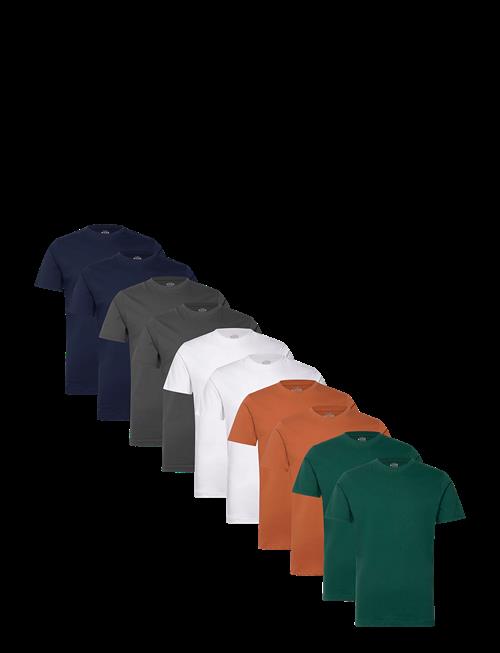 Denim Project | Dp 10 Pack T-Shirt | L