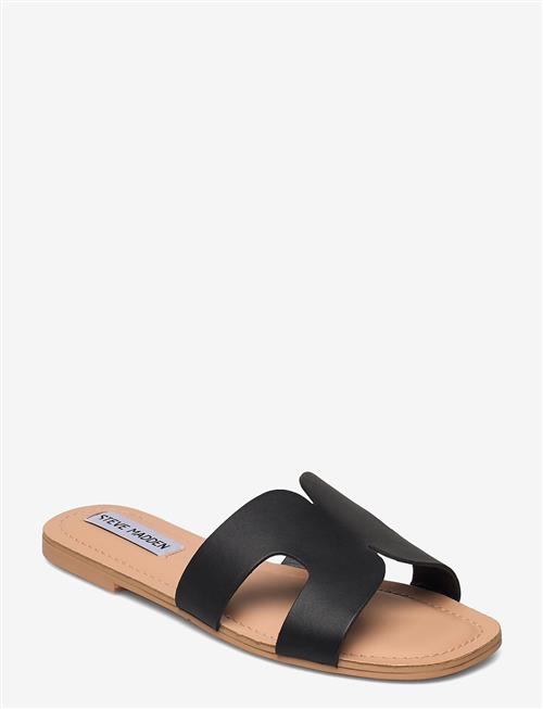 Steve Madden | Zarnia Sandal | 40