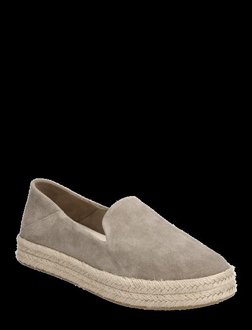 TOMS | Carolina | 38.5
