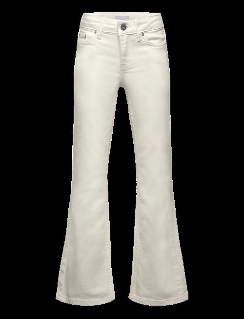 Grunt | Texas Broken White Bottoms | 170