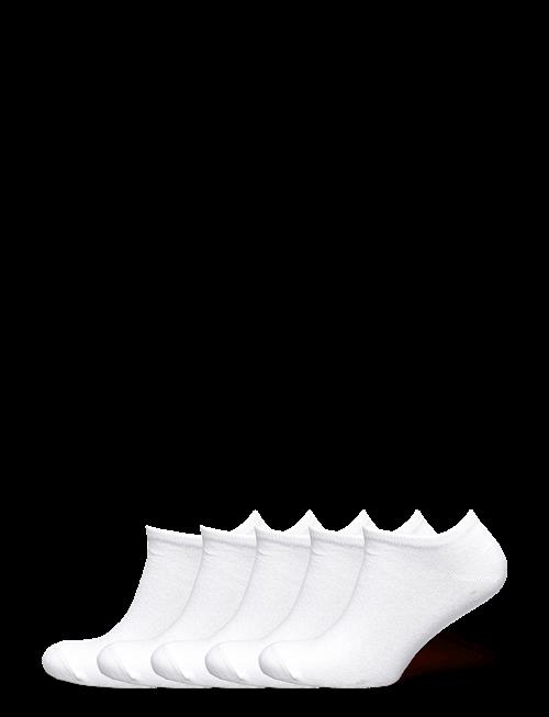 ZEBDIA | 5-Pk Tennis Footies | 35-38