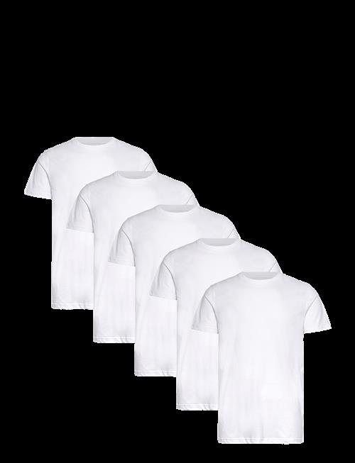 Claudio | Claudio 5-Pack T-Shirt Cotton | M