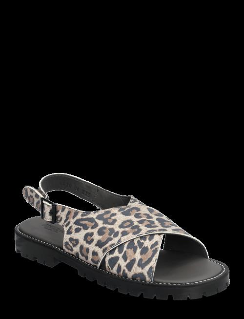 ANGULUS | Sandals - Flat  - Open Toe - Op | 36
