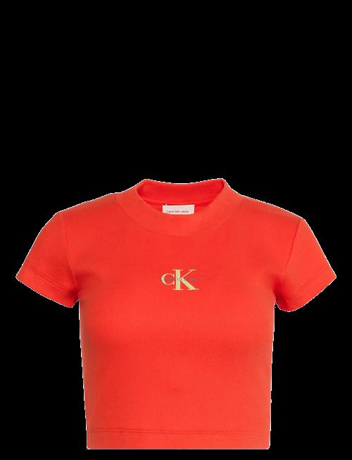 Calvin Klein Jeans | Monologo Baby Rib Tee | XL