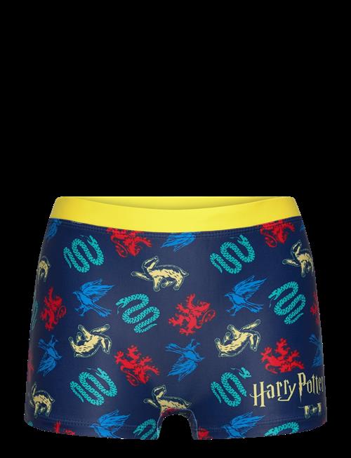 Harry Potter | Swimsuit | 116