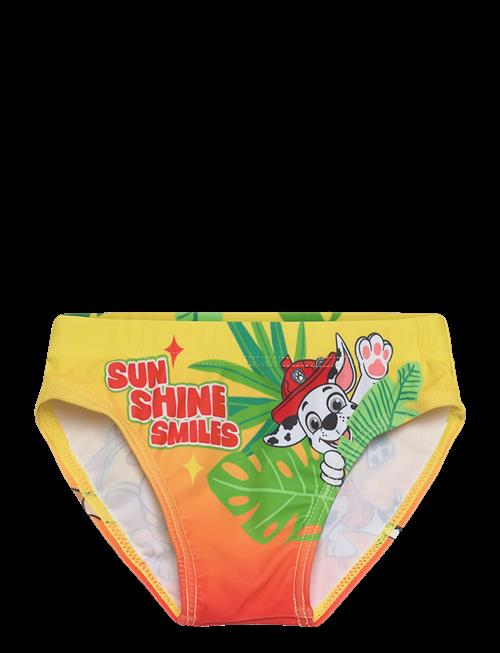 Paw Patrol | Swimsuit | 110
