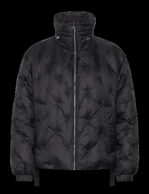HUGO | Feneve-1 | M