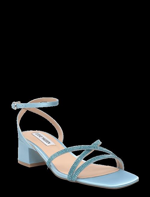 Steve Madden | Gabby | 39