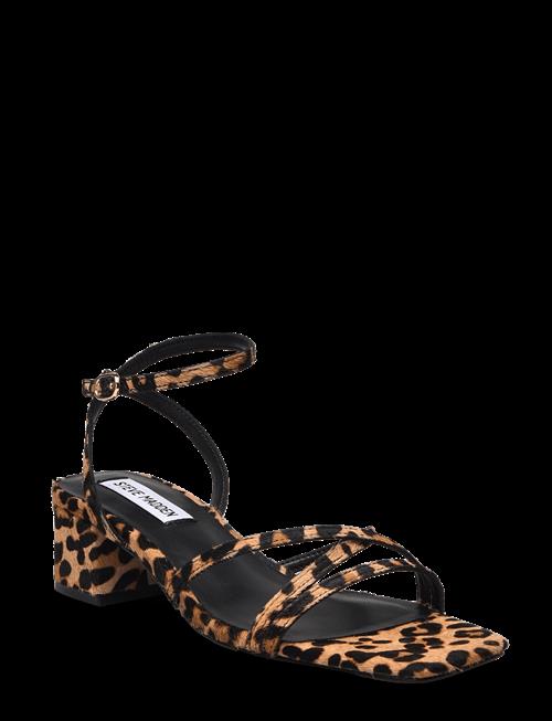 Steve Madden | Gabby-L Sandal | 38