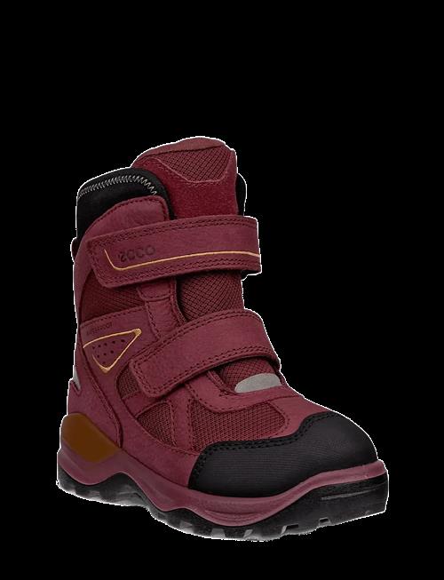 ECCO | Snow Mountain | 25