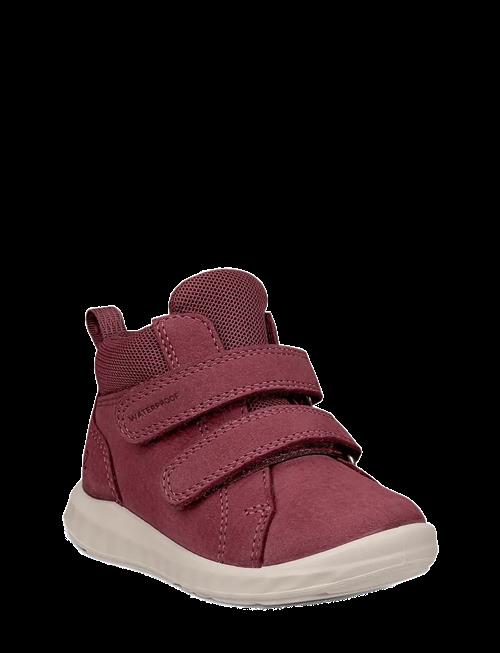 ECCO | Sp.1 Lite Infant | 24