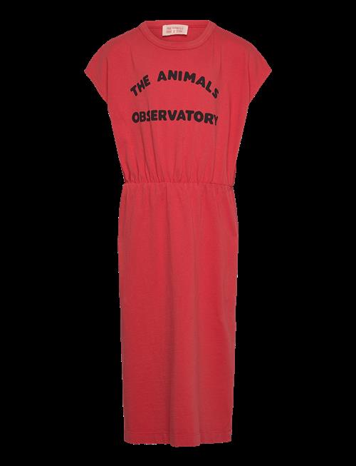 THE ANIMALS OBSERVATORY | Orca Kid Midi Dress Red | 3 Y
