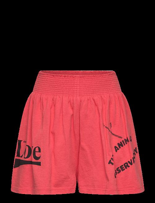 THE ANIMALS OBSERVATORY | Ostrich Kid Shorts Red | 12 Y