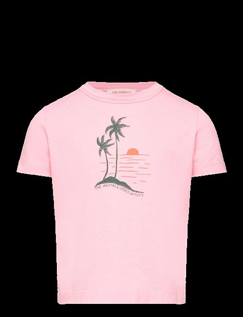 THE ANIMALS OBSERVATORY | Big Rooster Kid T-Shirt Pink 2Y | 2 Y