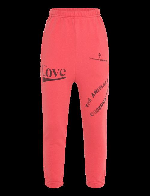 THE ANIMALS OBSERVATORY | Dromedary Kid Sweatpants Red | 8 Y