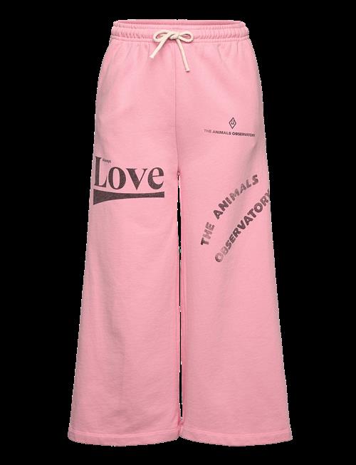 THE ANIMALS OBSERVATORY | Platypus Kid Sweatpants Pink | 10 Y