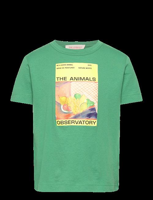 THE ANIMALS OBSERVATORY | Big Rooster Kid T-Shirt Green 10Y | 8 Y