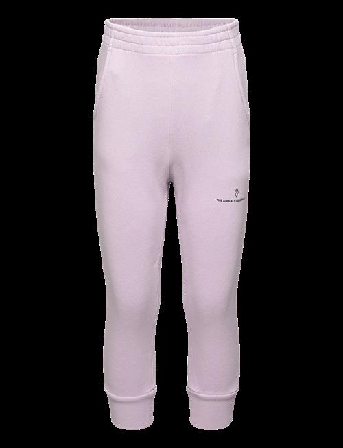 THE ANIMALS OBSERVATORY | Draco Kid Sweatpants Lavand | 10 Y