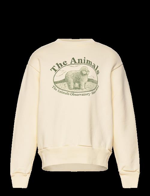 THE ANIMALS OBSERVATORY | Bear Kid Sweatshirt White Logo | 10 Y