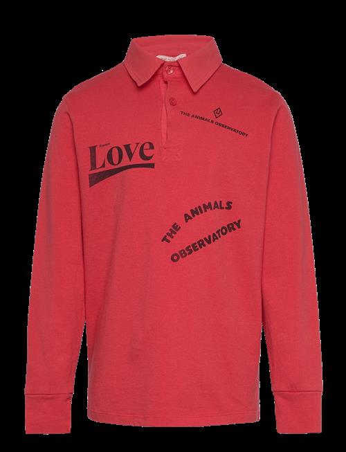 THE ANIMALS OBSERVATORY | Eel Kid Polo Shirt Red | 10 Y