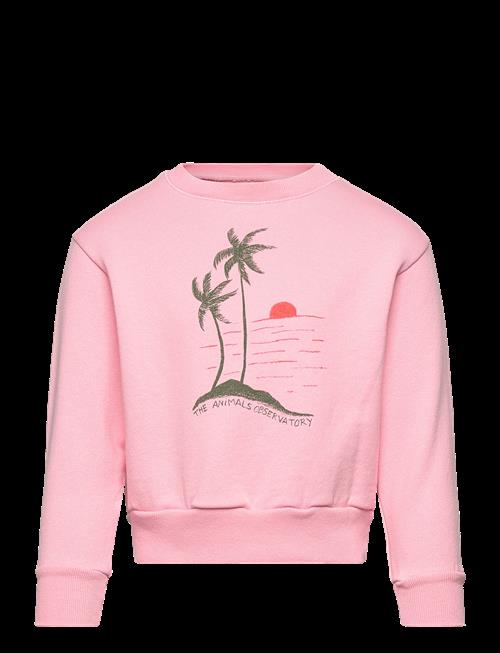 THE ANIMALS OBSERVATORY | Bear Kid Sweatshirt Pink | 4 Y
