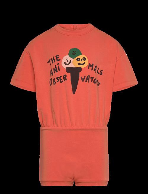 THE ANIMALS OBSERVATORY | Koala Kid Body Salmon | 4 Y