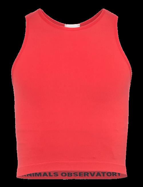 THE ANIMALS OBSERVATORY | Hyena Kid Tank Top Red | 45636