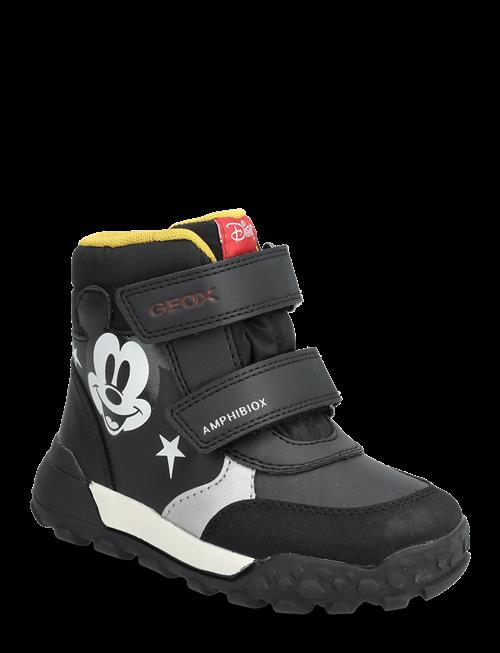 GEOX | B Trekkyup Boy B Abx | 25