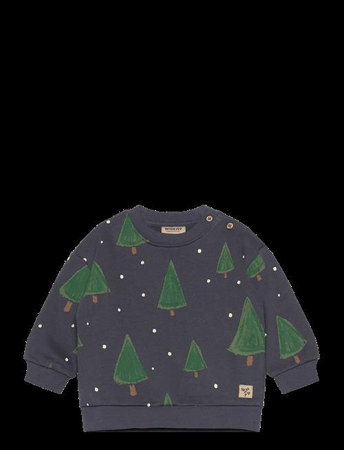 Wheat | Sweatshirt L/S Sandro | 68