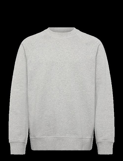 WOOD WOOD | Wwhester Sweatshirt 25217 | L