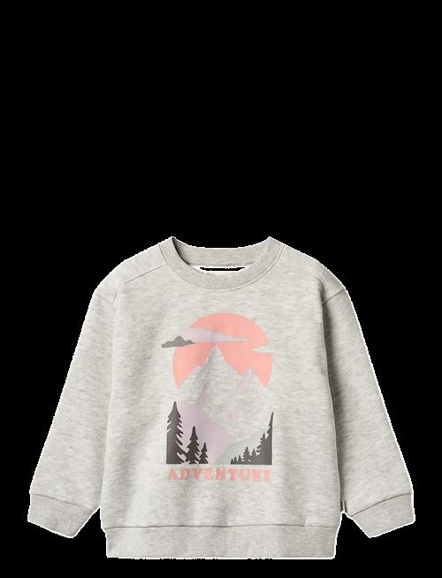 Wheat | Sweatshirt L/S Ellis | 116