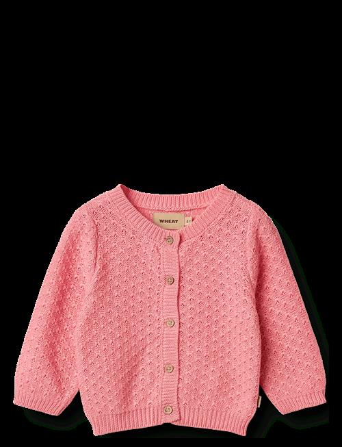 Wheat | Knit Cardigan Magnella | 80