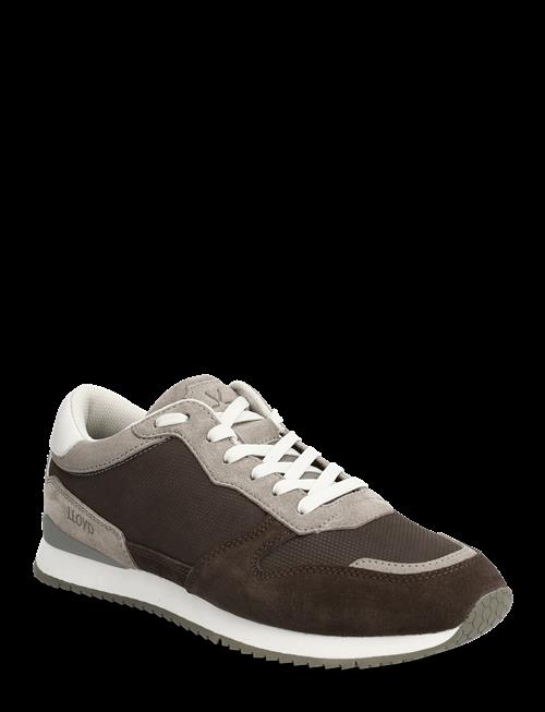 Lloyd | Swift | 43