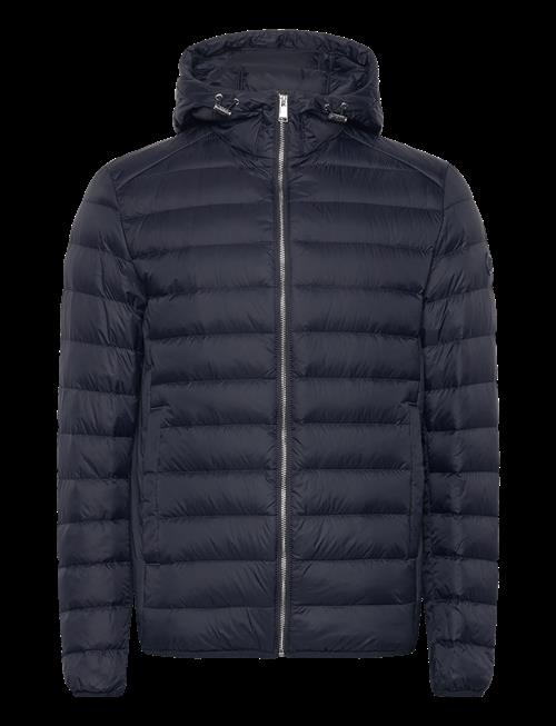 BOSS | H-Dimeo | 56