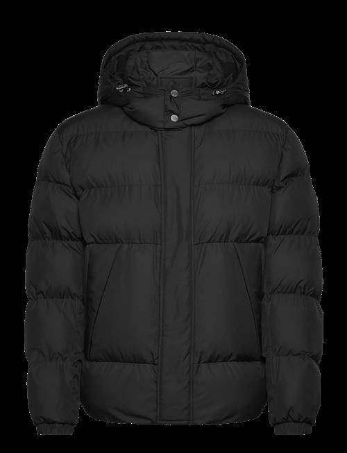 BOSS | H-Corbinian5 | 50