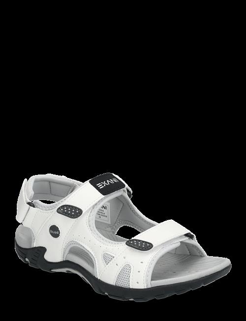 Exani | Spider Pro W | 40