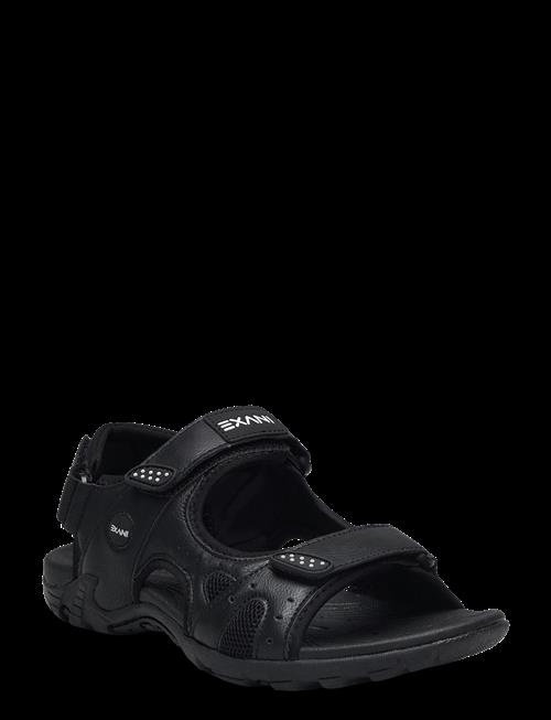 Exani | Spider Pro W | 39