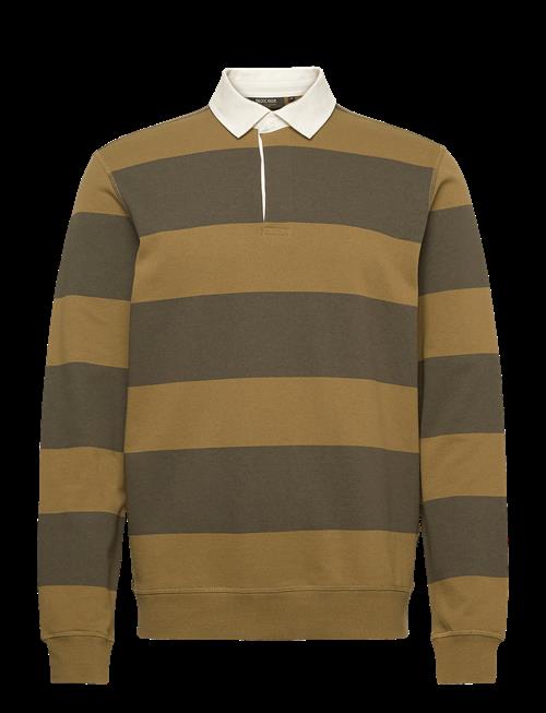 INDICODE | Indisnar Stripe | S