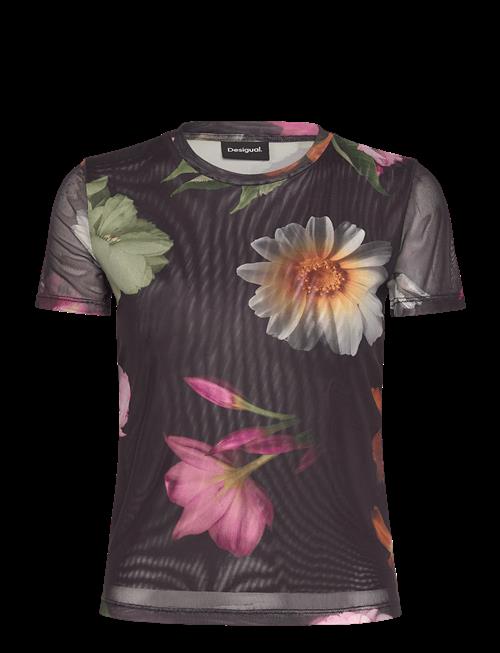 Desigual | Des | S