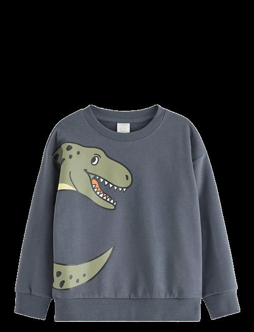 Lindex | Sweatshirt Dino Placement | 98