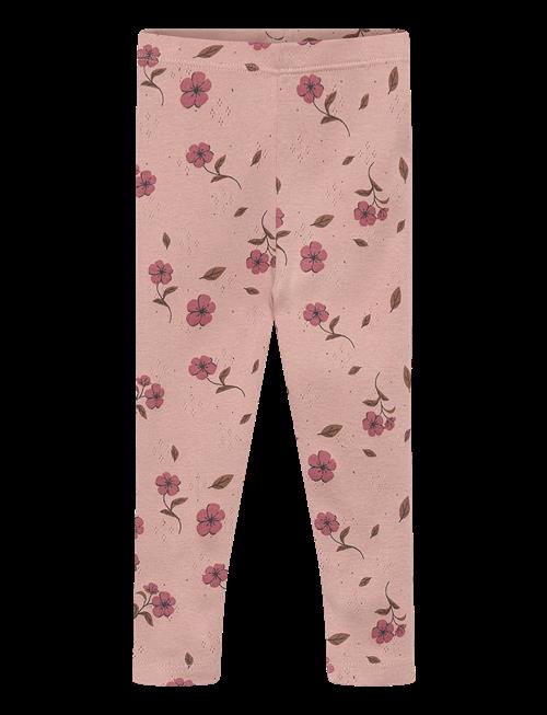 The New | Tnsbpicole Pointelle Leggings | 68