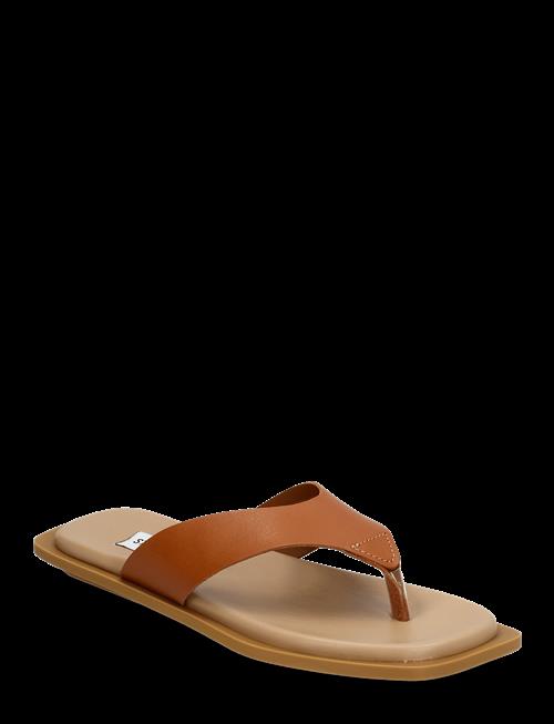 Steve Madden | Splash Sandals | 41