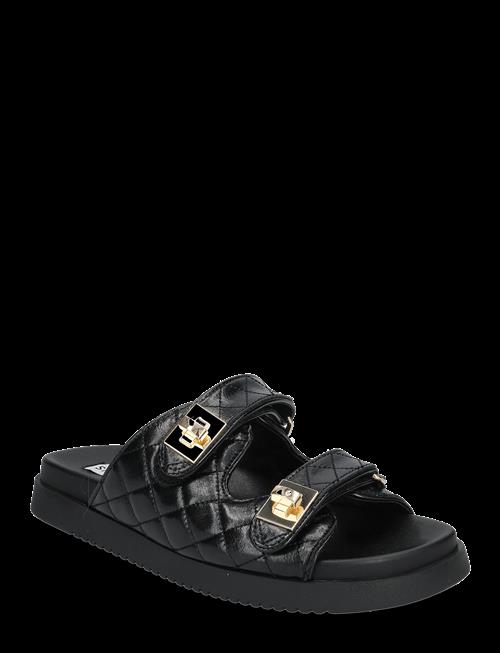Steve Madden | Schmona-Cn Slides | 36