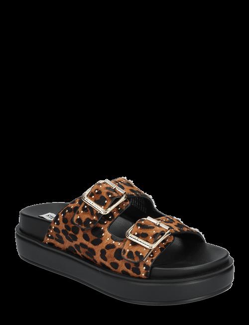 Steve Madden | Freelance-L Slides | 39