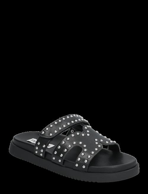 Steve Madden | Missile-S | 40