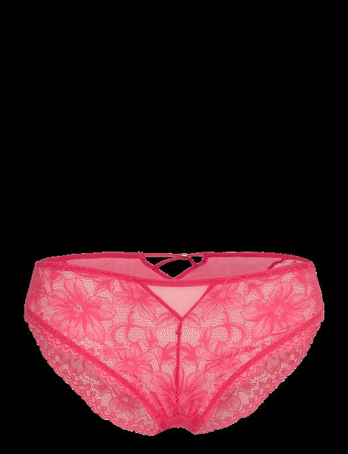 Dorina | Jemma Brief | M