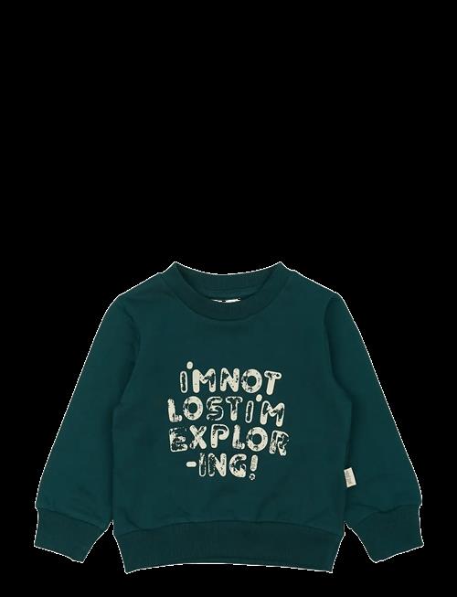 Petit Piao | Ppdov Sweat Shirt | 104