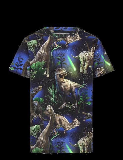 Molo | Ralphie | 92