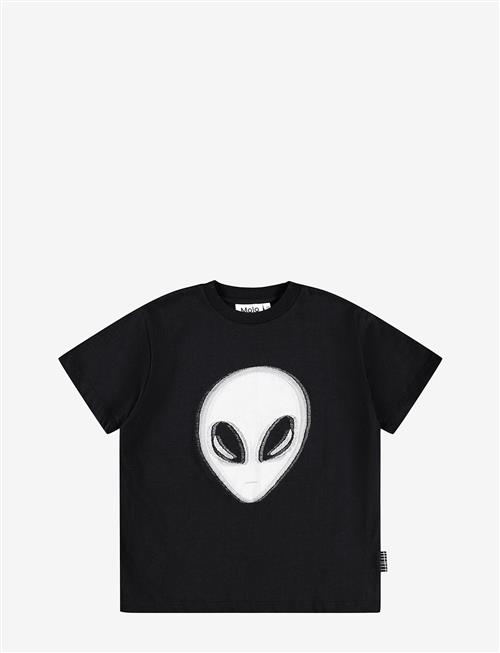 Molo | Rodney | 116