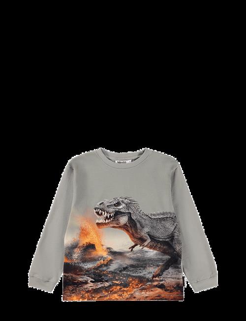 Molo | Rube | 92